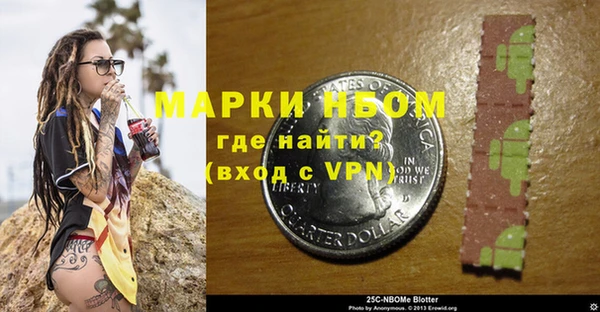 бошки Горняк