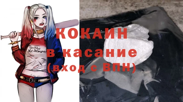 бошки Горняк