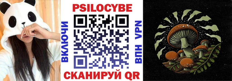 Псилоцибиновые грибы мицелий  Купить где  Починок 